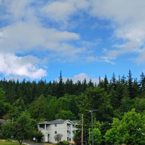 Photo is half partially cloudy sky and half hillside with pine trees. There is an apartment building in the center of the bottom of the frame.