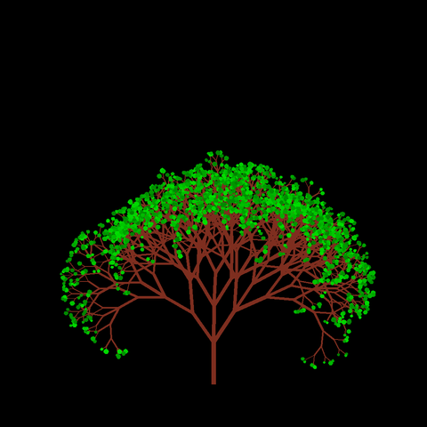 A computer generated fractal tree