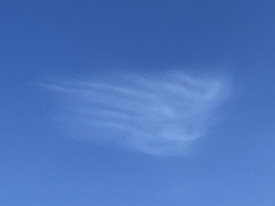 Eine zarte weiße Wolke in Flügelform vor blauem Himmel.