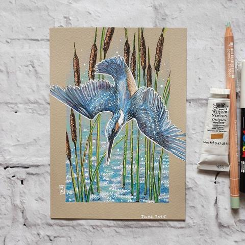 A small drawing of a kingfisher bird diving into water with reeds in the background.
Kingfishers are small unmistakable bright blue and orange birds found near slow-moving or still water. They fly rapidly, low over water, and hunt fish from riverside perches.
An original art work
Colour pencil and mixed media on acid free toned artist paper
5 by 7 inches (12.7 by 17.8 cm).
Sold unframed