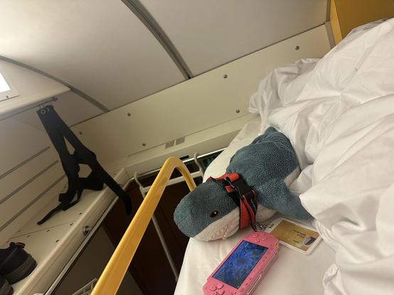 OV on top bed of siemens comfort wlab