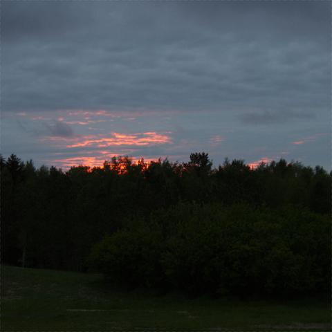 Behind a dark forest silhouette is a cloudy twilight sky, with orange and pink hues peeking through.