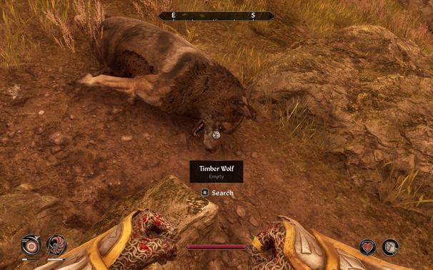 Dead wolf, eating dirt. My chainmail gloves are full of wolf blood from punching it many times until it stopped attacking me. Behind me is the Nirnroot I came to pluck, somehow still intact despite all the trampling. Some spells are active, but nobody knows which because the icons are mystifying. My loaded spell is a restorative one.