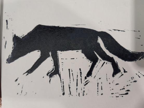 Un renard noir