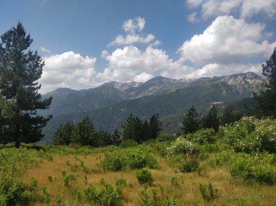 Photo de montagnes et de forêts