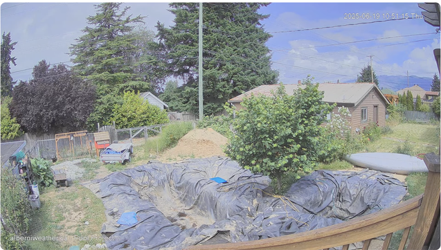 A capture from the backyard webcam shows the three holes covered with black rubber liner. There is a medium sized and very leafy tree in the middle of them.