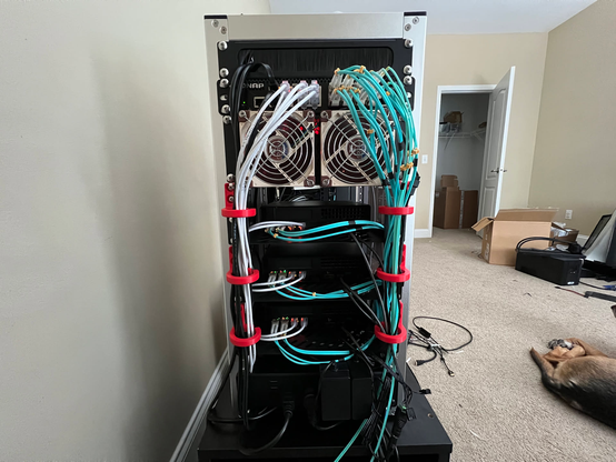 A full view of the back of the minirack showing the cable management.