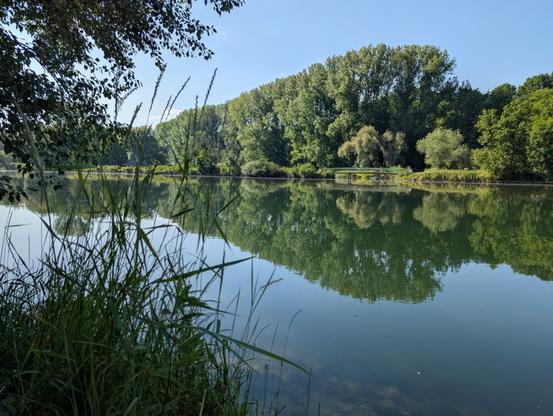 Ausblick auf die Donau.