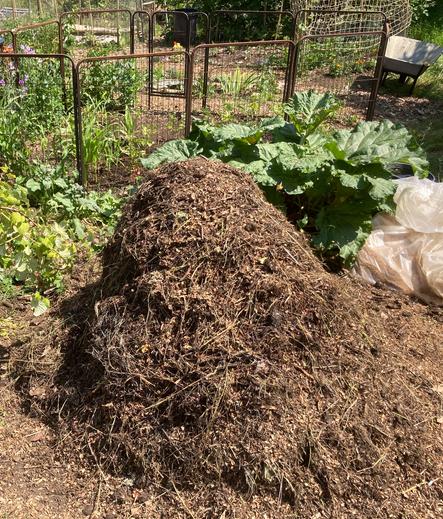 A compost heap that has been turned from outside to inside. What used to be the inner material is now visible on the outside of the heap. It maintained a temperature between 55-60°C for three days. The new inner material will now heat up from the microbial activity inside the heap. Some rhubarb leaves are visible behind the compost pile which are in front of a growing bed that is enclosed by a black metal fence.