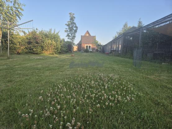Een gazon vol met klaver. Op de achtergrond een vogelbosje, een grote boom, het bakhuis, schuren en een ren.
