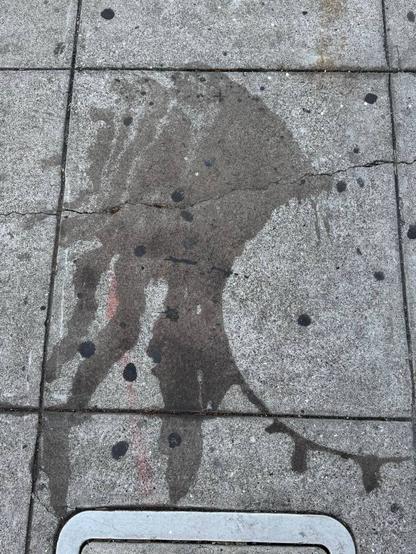 The original photo that was used as inspiration for today's Sidewalk Friends sketch. It's some sort of dark stain on the sidewalk.