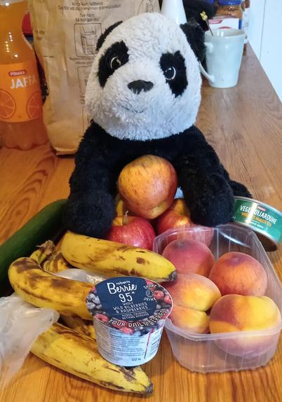 photo of a very happy little panda plushie posing with fruit, a cucumber, berry smoothie and a tin of vegan soy mince