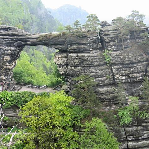 Massiver Sandsteinbogen verbindet zwei Felswände mit markanten Schichtungsstrukturen. Auf dem gewölbten Dachansatz wachsen vereinzelt Kiefern. Darunter erstreckt sich eine Steinplattform mit Außenbestuhlung, Tischen und Bänken, eingefasst von Schutzgeländern. Ein schmaler Pfad windet sich entlang der Felswand und führt unter dem Bogen hindurch. Umgebend dichte Laub- und Nadelbäume in leuchtendem Grün, im Hintergrund neblige Felsabbrüche, die in einen vegetationsbewachsenen Hang übergehen. Gedämpfte Lichtstimmung weist auf feuchte Witterung hin.