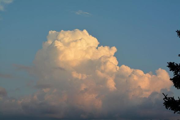 Grosse "Blumenkohlwolke" am abendlichen Himmel, leicht orange gefärbt, blauer Himmel.