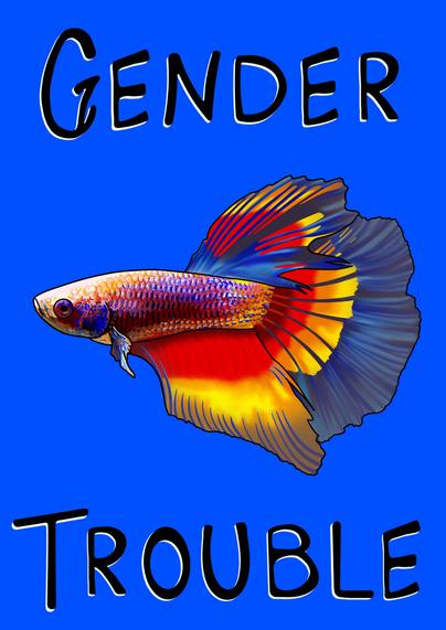 A colorful fish is depicted against a bright blue background. The text "GENDER TROUBLE" is prominently featured, with "GENDER" above the fish and "TROUBLE" below it, both in bold, playful font.