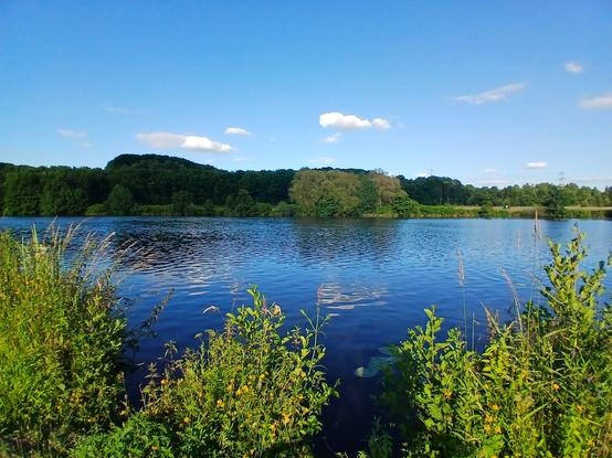 Ein ruhiger Fluss im Abendlicht. Davor sonnenbeschienenes bluhendes Grünzeug, dahinter Wald und Wiese. Blauer Himmel mit ein paar weißen Wölkchen, die sich im Wasser spiegeln.