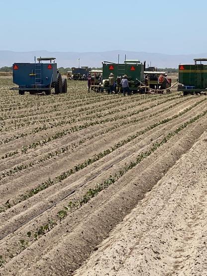 Planting machines in a field