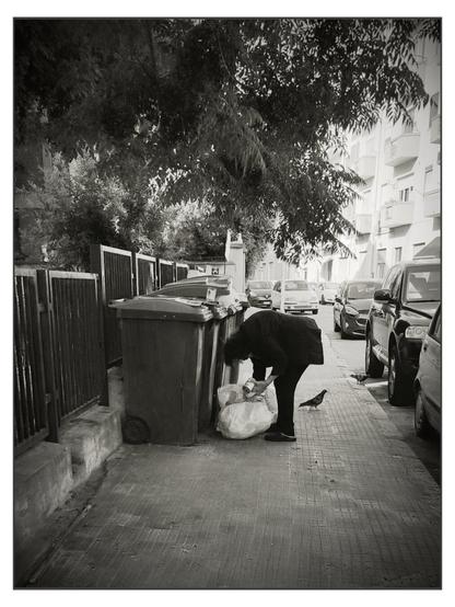 In una strada urbana, una donna curva rovista in un sacco della spazzatura, accanto a una fila di bidoni dei rifiuti sul marciapiede. È vestita di scuro e ha i capelli sciolti. La scena è immersa nell’ombra proiettata da un albero. A pochi passi da lei, un piccione cammina sul marciapiede. L’ambiente è urbano e ordinario: palazzi con balconi, auto parcheggiate su entrambi i lati della strada, luce diurna.