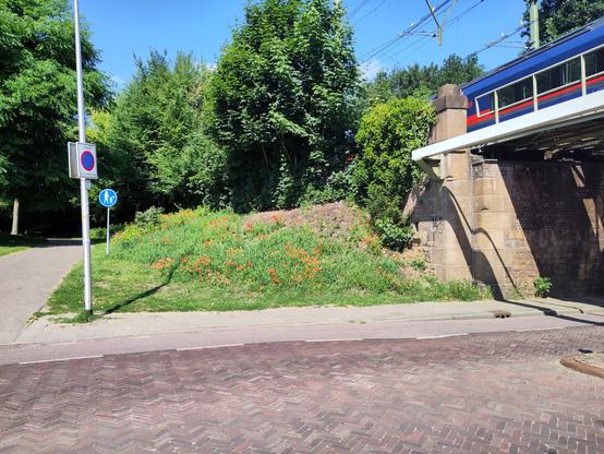 Photo of a talud covered in poppies, trees and a train bridge over which a blue-red Austrian Railways night train rides.