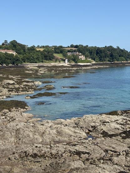 Image of a clear sea in between many rocks covered with seaweed. On the land at the back, you can see some homes surrounded by trees and empty fields.