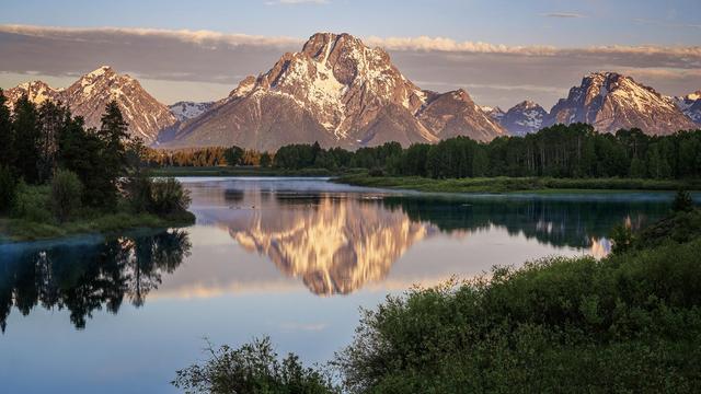 At Oxbow Bend in Grand Teton NP, a channel of the Snake River "bends" towards the turnout with the tranquil water reflecting the towering snow-capped Mount Moran, particularly in the still early morning air.