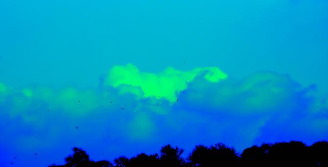 clouds with all the red taken out of the photo. there is the silhouette of some trees near the bottom of the photo as well as some blots that are either birds or dirt on the lens. the colours are such that the cloud catching the most sunlight in the middle looks green