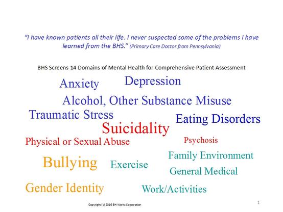Domains of suicidality risk factors.