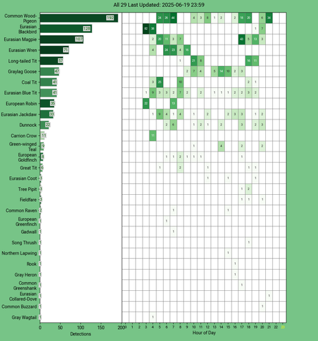 Today's top 20 bird chart