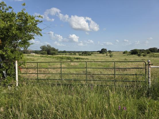 Landscap at the junction of HWY 51 and HWY 167