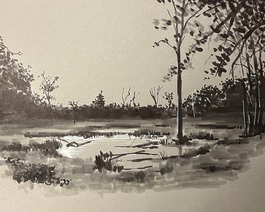 This is a greyscale ink sketch of a serene natural landscape. It depicts a body of water reflecting light, surrounded by varied vegetation and tall trees framing the scene on both sides. A distant treeline and a light grey sky complete the tranquil, illustrative composition, focusing on tonal variations to create depth.