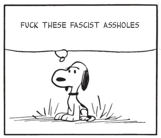 Parody Peanuts panel: Snoopy (drawn 1960s style) staring out of frame with a pensive determination. Thought balloon reads "FUCK THESE FASCIST ASSHOLES"