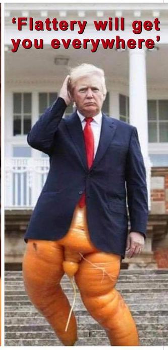 Trump with his lower half an obscene carrot. Caption: ‘Flattery will get
you everywhere’