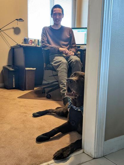 A chocolate lab is lying down on the carpet with a man sitting behind him.