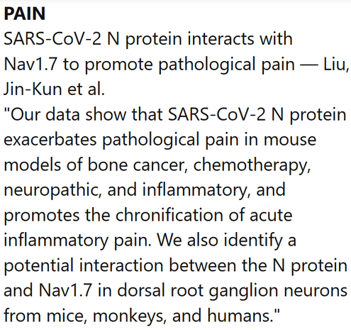 PAIN
SARS-CoV-2 N protein interacts with Nav1.7 to promote pathological pain — Liu, Jin-Kun et al.
"Our data show that SARS-CoV-2 N protein exacerbates pathological pain in mouse models of bone cancer, chemotherapy, neuropathic, and inflammatory, and promotes the chronification of acute inflammatory pain. We also identify a potential interaction between the N protein and Nav1.7 in dorsal root ganglion neurons from mice, monkeys, and humans."