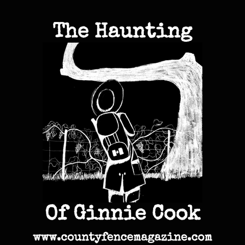 A simple black and white drawing of an anachronistic traveller considering a page-wire fence and marker tree with the article title: “The Haunting of Ginnie Cook.”