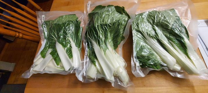 3 packages of bok choi leaves vacuum sealed and ready for the chest freezer. Each package has a pound of bok choi.