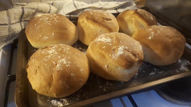 6 rolls of homemade baps cooling off after leaving the oven, resting on the in the tray on top of the stove