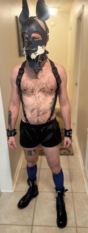 A person is standing in a hallway wearing a striking outfit that includes a leather pup jood, showcasing piercings. They have a bare chest adorned with leather harness straps and tattoos. The outfit is completed with black leather shorts, leather wrist cuffs, and leather boots.