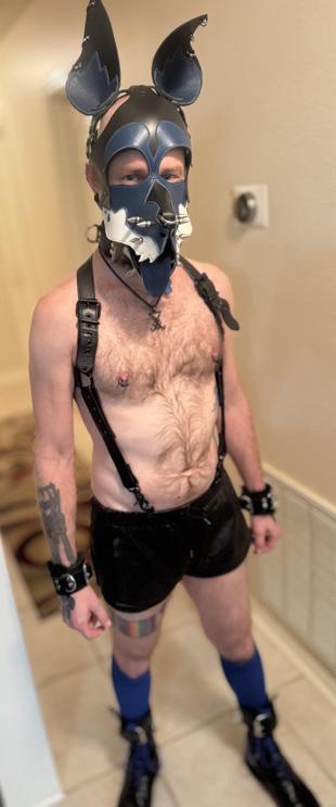 A person stands in a room wearing a leather pup hood. They have a bare chest adorned with body piercings and various tattoos. Their outfit includes a leather harness, shiny black leather shorts, blue knee-high socks, leather collar with D-rings, and leather wrist cuffs with D-rings.