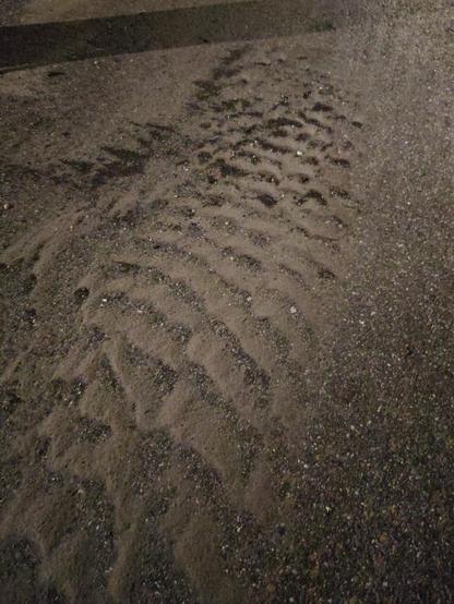 Leaf imbrications are not the only thing showing evidence of unidirectionally flowing water earlier in the evening. Here sediment ripples are seen in the sand and gravel in the alley. The ripples are asymmetric. The upstream aide of the ripples is less steep and grayish tan. The downstream side is steeper and the valleys between ripples are filled with black heavier grains. The ripples themselves appear to be imbricated as they climb over one another with the downstream end higher than the upstream end. However, it is a different process that forms these climbing ripples. In this photo, current was moving from the top right toward the bottom left.