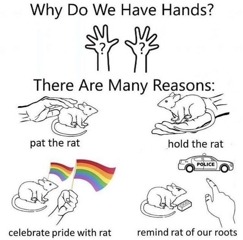 Comic:

"Why Do We Have Hands?"
(Showing two hands)

"There Are Many Reasons:"

"Pet the rat" (showing a rat being petted)

"Hold the rat" (showing a rat being helt)

"celebrate pride with rat" (showing rat and a hand waving pride flags)

"remind rat of our roots" (a rat with a brick, and a hand pointing towards a cop car)
