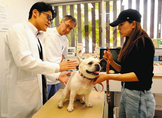 犬の皮膚トラブル 特別診療　前橋市内の「おおとね動物病院」　愛知のクリニックと提携