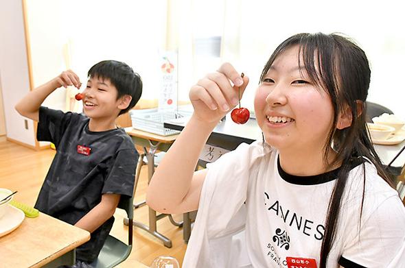 紅王 おっきい おいしい　県内児童に給食で提供