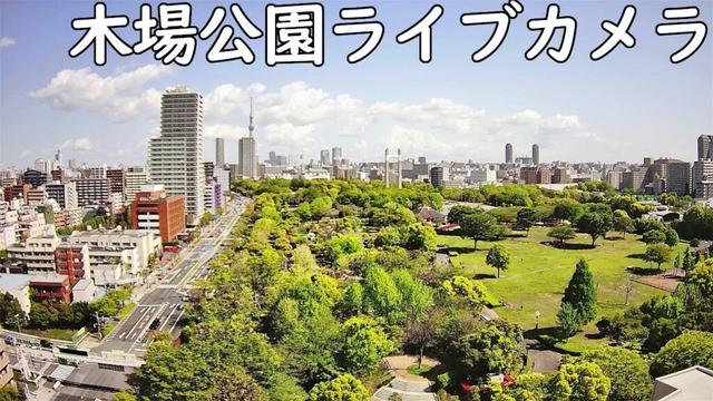 木場公園ライブカメラ(東京都江東区)20250620 8～