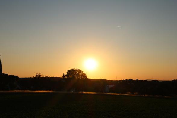 Die Abendsonne tiefstehend am Himmel. Die Flächen mit hohem Gras "leuchten" in der Sonne, ein großer Baum ragt aus der Heckenlinie heraus.
Matzework