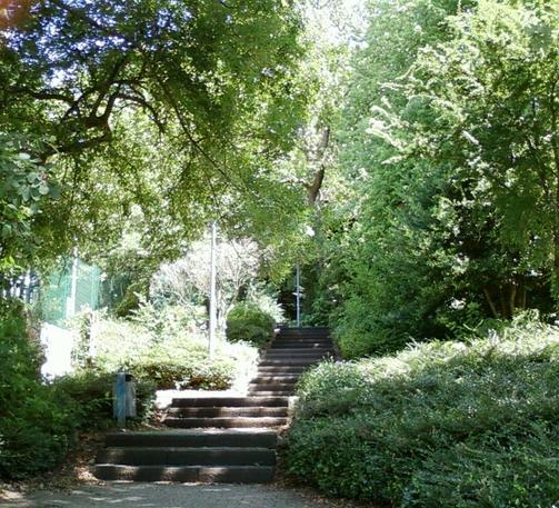 Eine Treppe umsäumt von Baeumen.