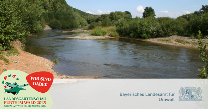 Eine natürliche Flusslandschaft mit kiesigen Ufern und Gebüsch.