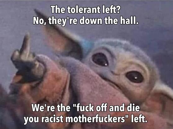 Baby Yoda flips the bird.
The tolerant left? No, they're down the hall.
We're the "fuck off and die you racist motherfuckers" left.
