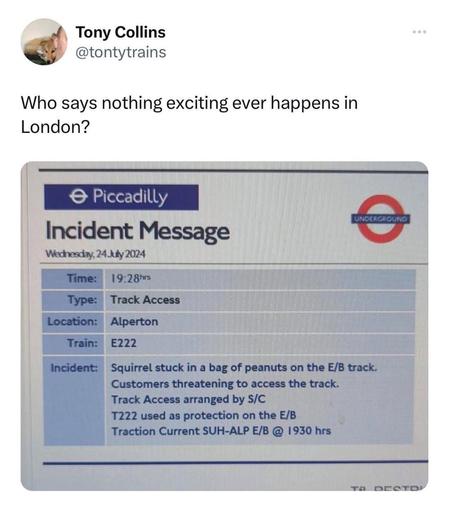 Post by Tony Collins @tontytrains

Who says nothing exciting ever happens in London? 

Piccadilly Underground Incident Message
Wednesday, 24 July 2024
Time: 19:28hrs
Type: Tract Access
Location: Alperton
Train: E222
Incident: Squirrel stuck in a bag of peanuts on the E/B track.
Customers threatening to access the track.
Track Access arranged by S/C
T222 used as protection on the E/B
Traction Current SUH-ALP E/B @ 1930hrs