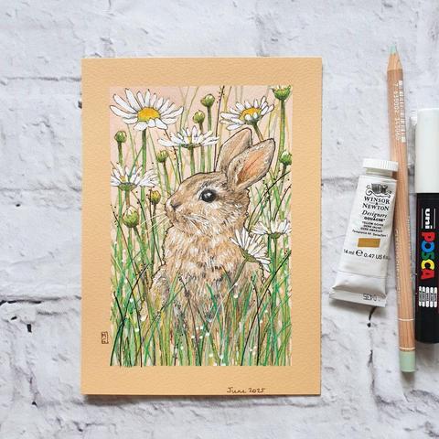 A small drawing of a cute little bunny rabbit in among oxeye daisies. The drawing is on peach toned paper.
Most people have spotted these animals grazing in long grasses. They were first introduced to the UK by the Normans for food and fur but are now a common sight for many. They live in large groups in underground burrow systems known as ‘warrens’.
An original art work
Colour pencil and mixed media on acid free toned artist paper
5 by 7 inches (12.7 by 17.8 cm).
Sold unframed